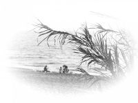a little group is sitting at the limni beach near apolakkia on rhodes, black-and-white