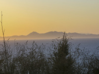 sunset at monte smith on rhodes with a view through grasses to the turkish coast
