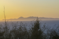 sunset at monte smith on rhodes with a view through grasses to the turkish coast