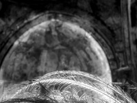 peacock feathers in front of the frescoes of the agios nikolaos fountoukli church in eleousa on rhodes, black-and-white