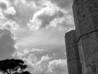 wild clouds are moving over some pines and over the castel del monte in puglia, black-and-white