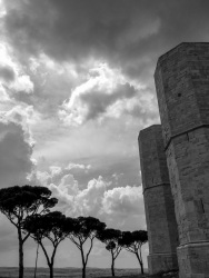 wild clouds are moving over some pines and over the castel del monte in puglia, black-and-white