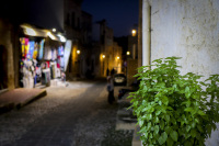 a shrub of green basil is standing in an alley of the old town on rhodes by night