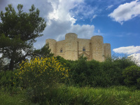 behind a broom bush and under a loveley blue sky with white clowds you see the castel del monte in puglia