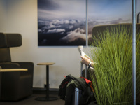 a traveller with his baggage is reading a newspaper behind green decorative grass in the lufthansa business lounge at the airport of hamburg