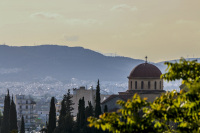a tree and a greek orthodox church in front of the city athens in a nice evening light