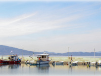 a man is going along the harbor in arkitsa and goes past the boats
