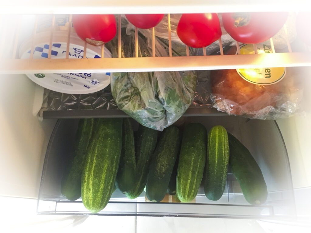 Gurken im Kühlschrank für Tsatsiki