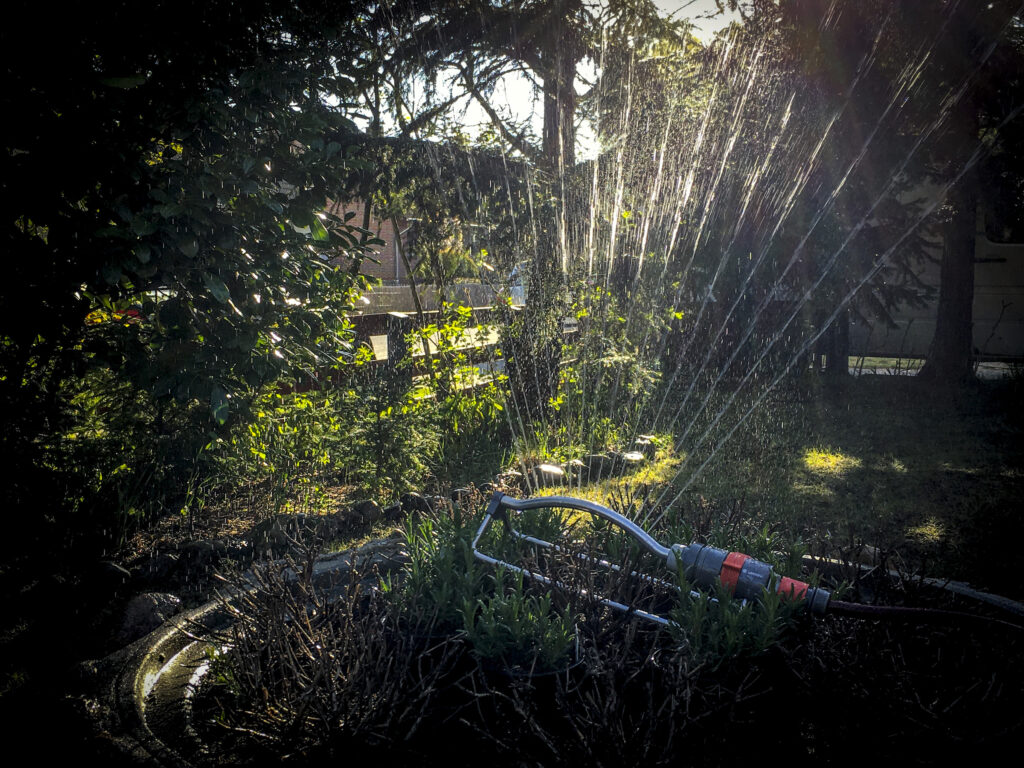 Gardena Sprenger am Sommerabend.
